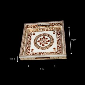 Square Tray Product Size